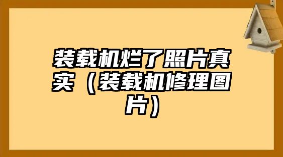 裝載機(jī)爛了照片真實(shí)（裝載機(jī)修理圖片）