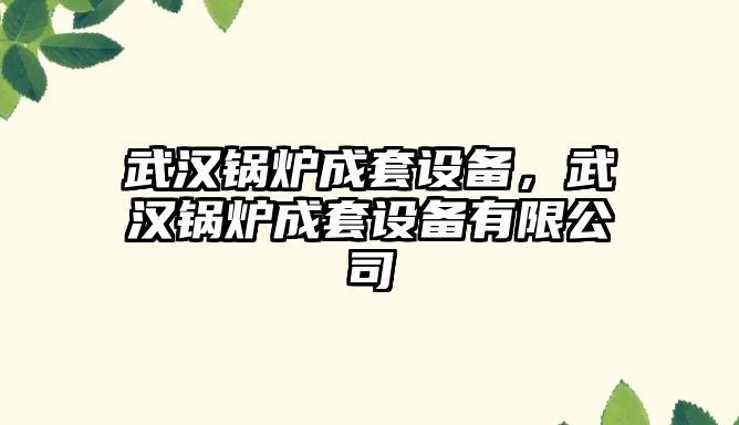 武漢鍋爐成套設備，武漢鍋爐成套設備有限公司