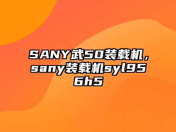 SANY武50裝載機(jī)，sany裝載機(jī)syl956h5