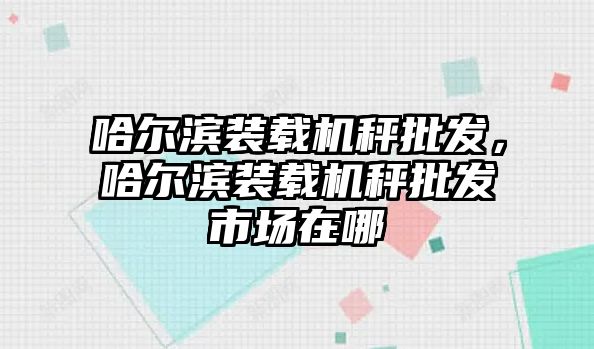 哈爾濱裝載機秤批發，哈爾濱裝載機秤批發市場在哪