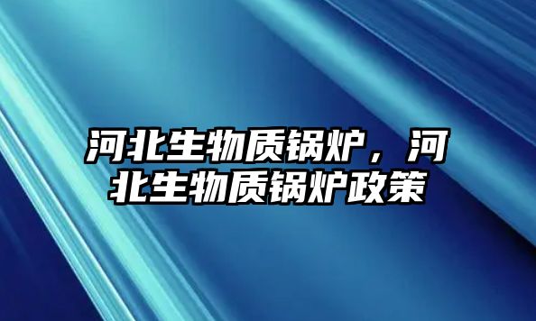 河北生物質鍋爐，河北生物質鍋爐政策