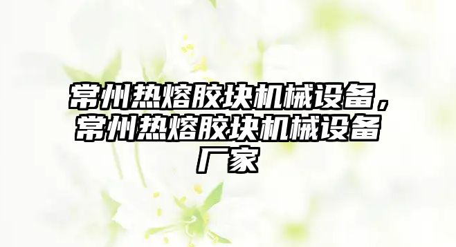 常州熱熔膠塊機械設備，常州熱熔膠塊機械設備廠家