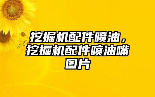 挖掘機配件噴油，挖掘機配件噴油嘴圖片