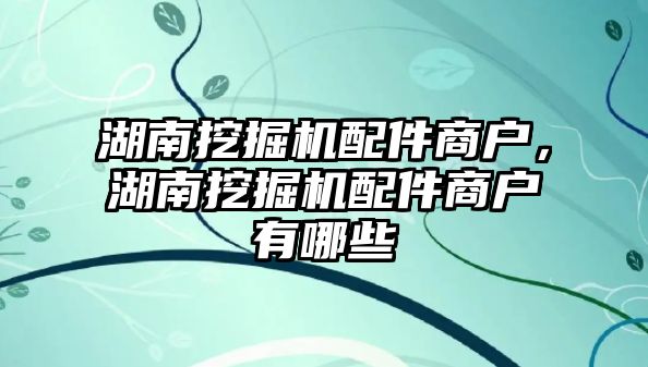 湖南挖掘機(jī)配件商戶，湖南挖掘機(jī)配件商戶有哪些