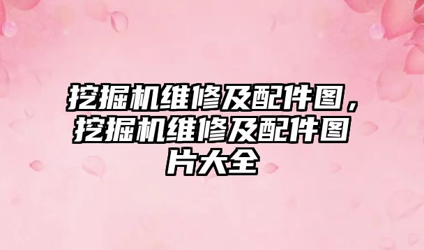 挖掘機維修及配件圖，挖掘機維修及配件圖片大全