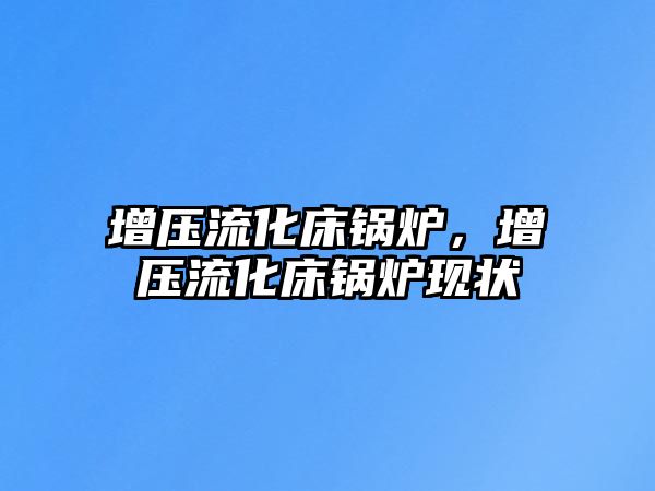 增壓流化床鍋爐，增壓流化床鍋爐現狀