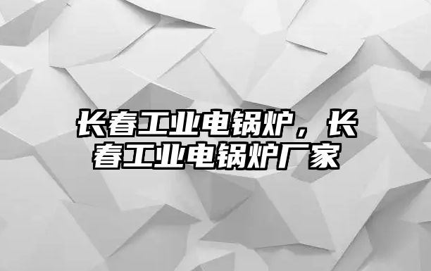 長春工業電鍋爐，長春工業電鍋爐廠家