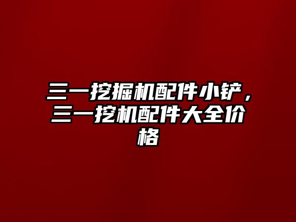 三一挖掘機配件小鏟，三一挖機配件大全價格