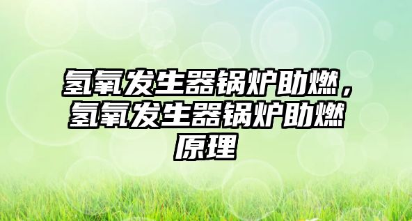 氫氧發生器鍋爐助燃，氫氧發生器鍋爐助燃原理