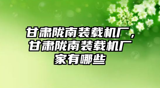 甘肅隴南裝載機廠，甘肅隴南裝載機廠家有哪些