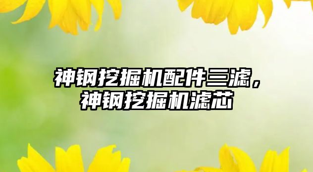 神鋼挖掘機配件三濾，神鋼挖掘機濾芯