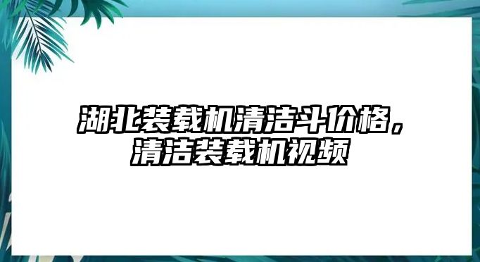 湖北裝載機清潔斗價格，清潔裝載機視頻