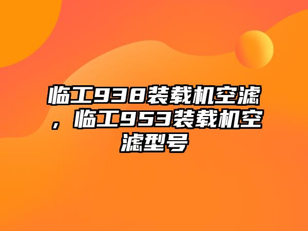 臨工938裝載機(jī)空濾，臨工953裝載機(jī)空濾型號