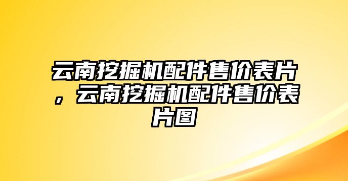 云南挖掘機(jī)配件售價表片，云南挖掘機(jī)配件售價表片圖