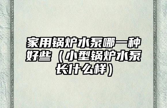 家用锅炉水泵哪一种好些（小型锅炉水泵长什么样）