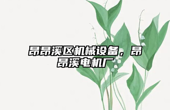 昂昂溪區機械設備，昂昂溪電機廠