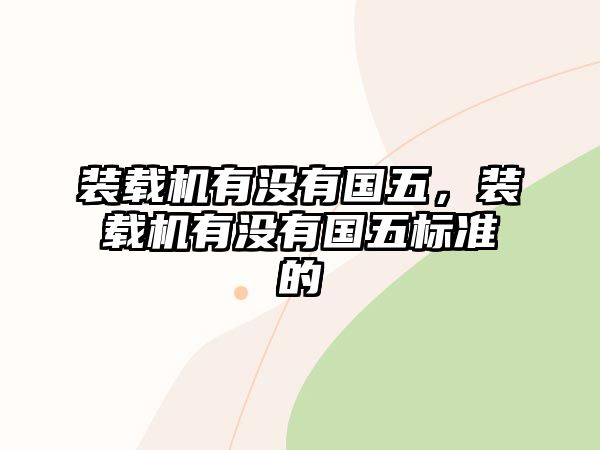 裝載機有沒有國五，裝載機有沒有國五標(biāo)準(zhǔn)的