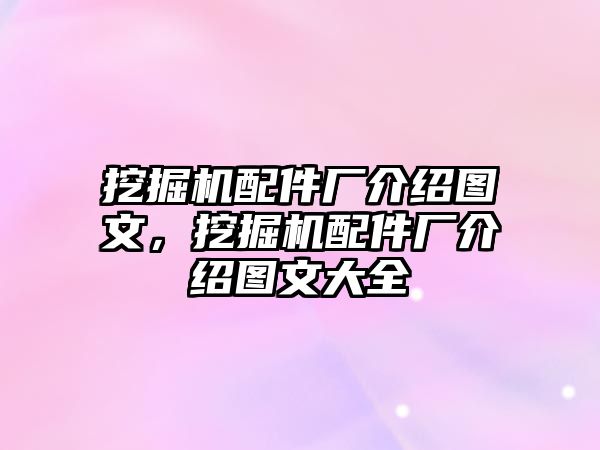 挖掘機配件廠介紹圖文，挖掘機配件廠介紹圖文大全