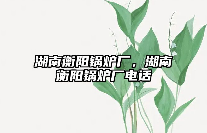 湖南衡陽鍋爐廠，湖南衡陽鍋爐廠電話