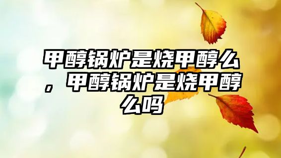 甲醇鍋爐是燒甲醇么，甲醇鍋爐是燒甲醇么嗎