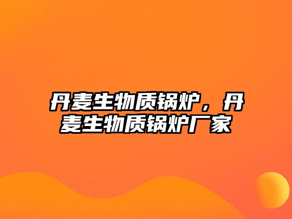 丹麥生物質鍋爐，丹麥生物質鍋爐廠家