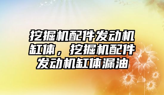 挖掘機配件發動機缸體，挖掘機配件發動機缸體漏油