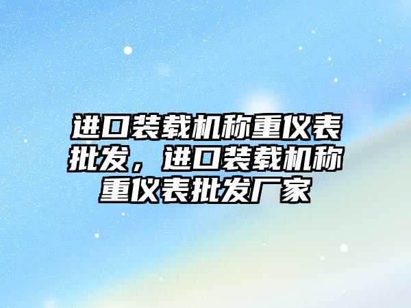 進口裝載機稱重儀表批發，進口裝載機稱重儀表批發廠家