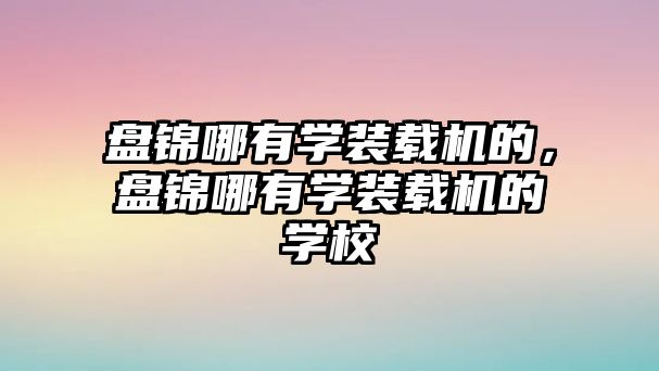 盤錦哪有學裝載機的，盤錦哪有學裝載機的學校