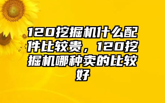 120挖掘機什么配件比較貴，120挖掘機哪種賣的比較好