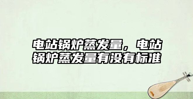 電站鍋爐蒸發(fā)量，電站鍋爐蒸發(fā)量有沒(méi)有標(biāo)準(zhǔn)