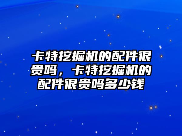 卡特挖掘機的配件很貴嗎，卡特挖掘機的配件很貴嗎多少錢