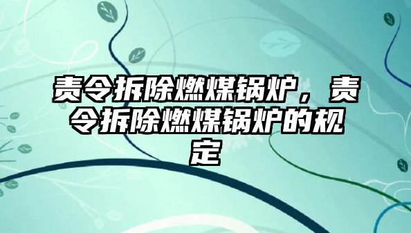 責令拆除燃煤鍋爐，責令拆除燃煤鍋爐的規(guī)定