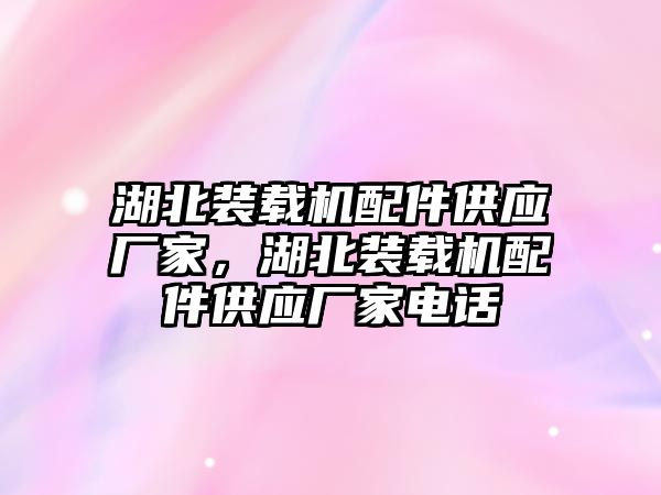 湖北裝載機配件供應(yīng)廠家，湖北裝載機配件供應(yīng)廠家電話