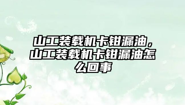 山工裝載機卡鉗漏油，山工裝載機卡鉗漏油怎么回事