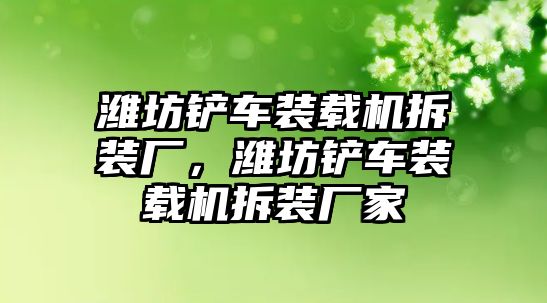 濰坊鏟車裝載機拆裝廠，濰坊鏟車裝載機拆裝廠家