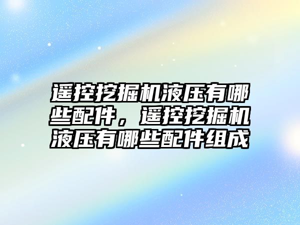 遙控挖掘機液壓有哪些配件，遙控挖掘機液壓有哪些配件組成