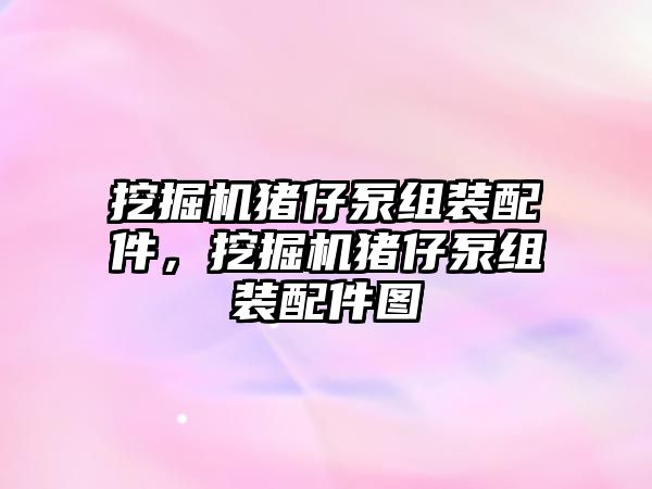 挖掘機豬仔泵組裝配件，挖掘機豬仔泵組裝配件圖