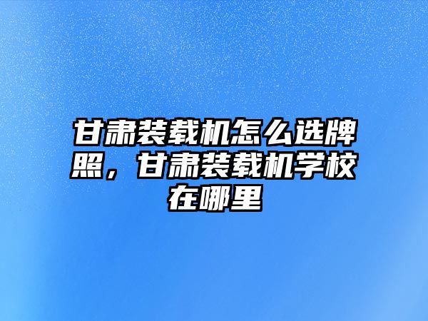 甘肅裝載機怎么選牌照，甘肅裝載機學(xué)校在哪里