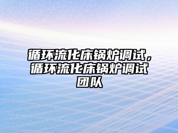 循環流化床鍋爐調試，循環流化床鍋爐調試團隊