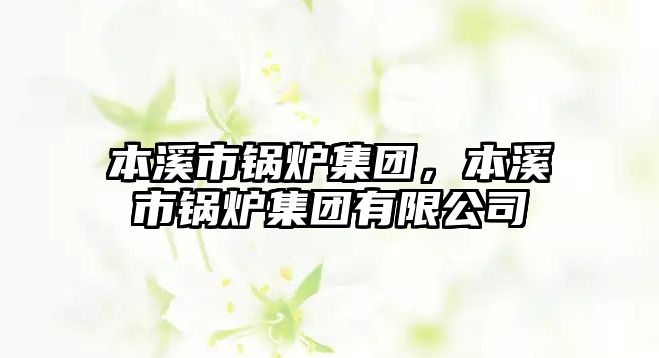 本溪市鍋爐集團，本溪市鍋爐集團有限公司