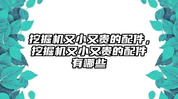 挖掘機又小又貴的配件，挖掘機又小又貴的配件有哪些