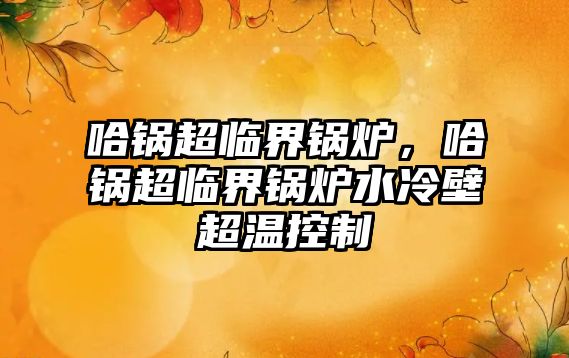 哈鍋超臨界鍋爐，哈鍋超臨界鍋爐水冷壁超溫控制