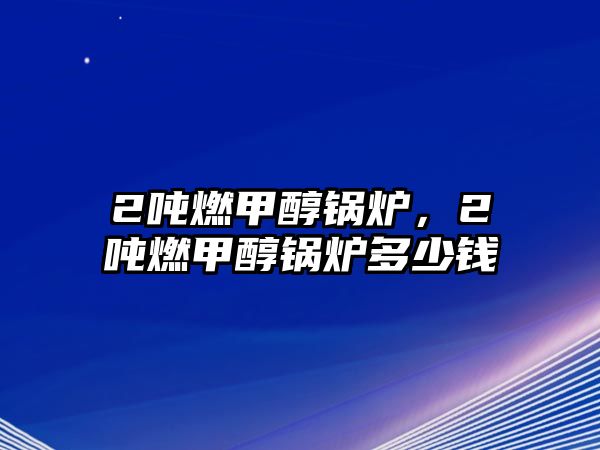 2噸燃甲醇鍋爐，2噸燃甲醇鍋爐多少錢(qián)