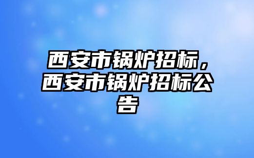 西安市鍋爐招標，西安市鍋爐招標公告