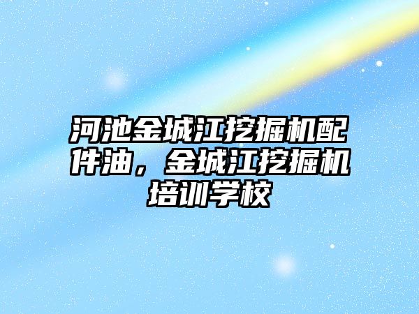 河池金城江挖掘機配件油，金城江挖掘機培訓學校