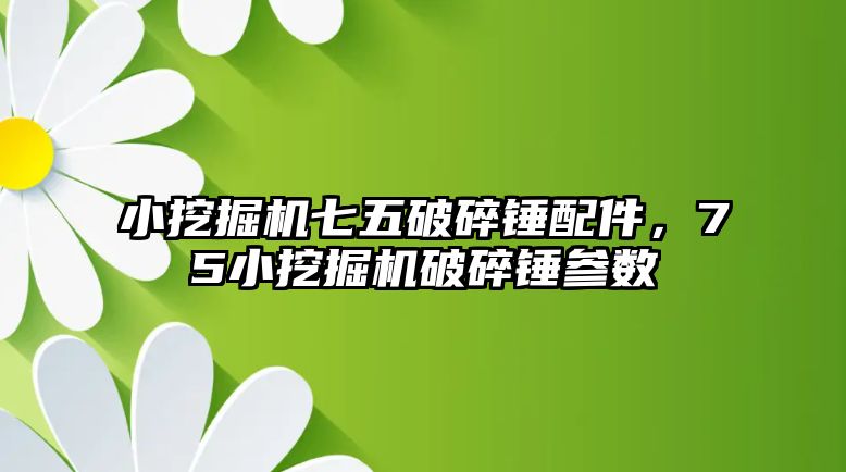 小挖掘機七五破碎錘配件，75小挖掘機破碎錘參數