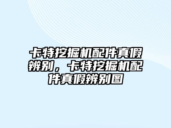 卡特挖掘機配件真假辨別，卡特挖掘機配件真假辨別圖