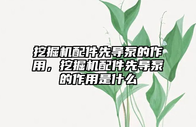 挖掘機配件先導泵的作用，挖掘機配件先導泵的作用是什么