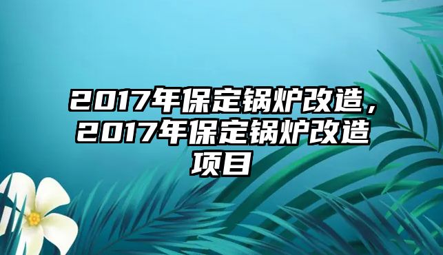 2017年保定鍋爐改造，2017年保定鍋爐改造項目