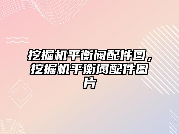 挖掘機平衡閥配件圖，挖掘機平衡閥配件圖片